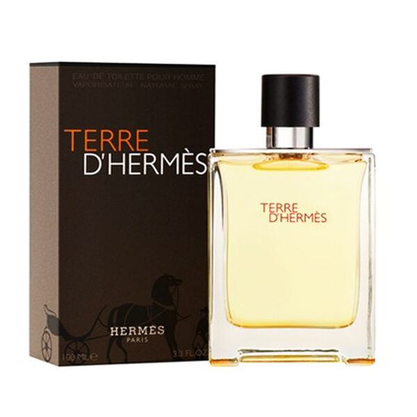 Terre D'Hermes EDT - 100ml